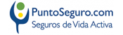 PuntoSeguro.com